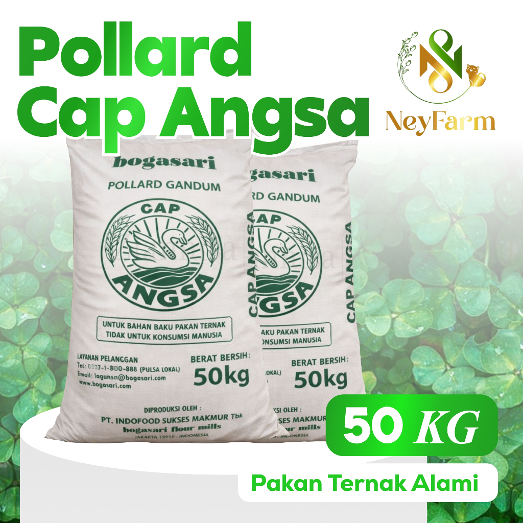 1 Zak Pollard Cap Angsa Bogasari / Polar Angsa Kemasan 50kg
