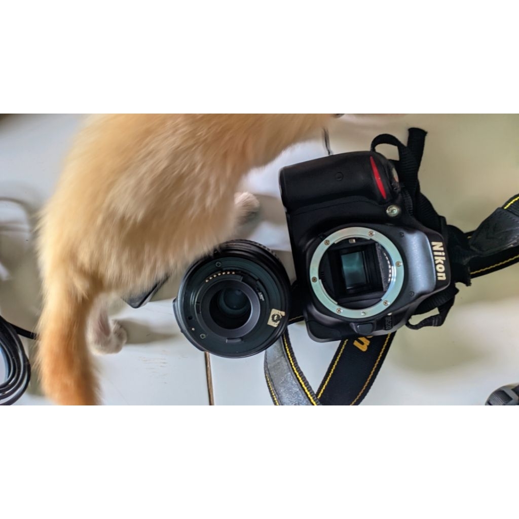 kamera dslr nikon d5200