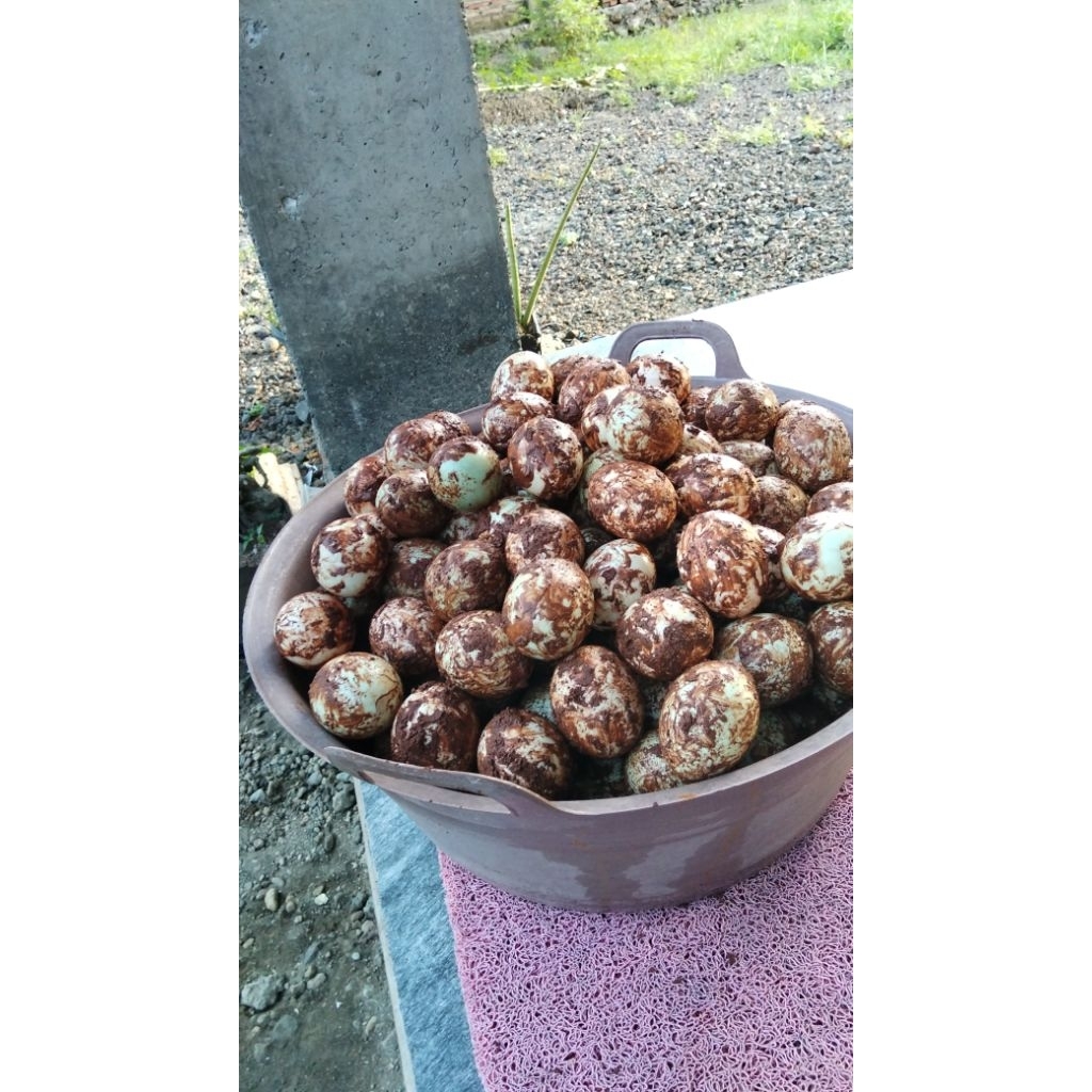 (Lilyfamtelur) Telur Asin Mentah 1 Pack  isi 10 butir