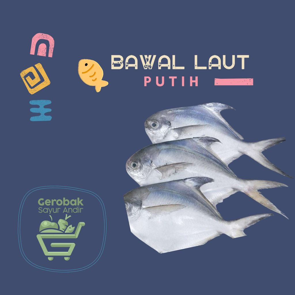 Ikan Bawal Laut Putih /500gr