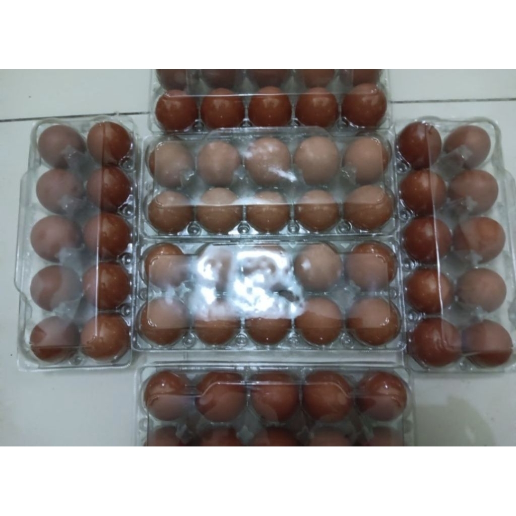 telur ayam OMEGA Mika isi 10 butir
