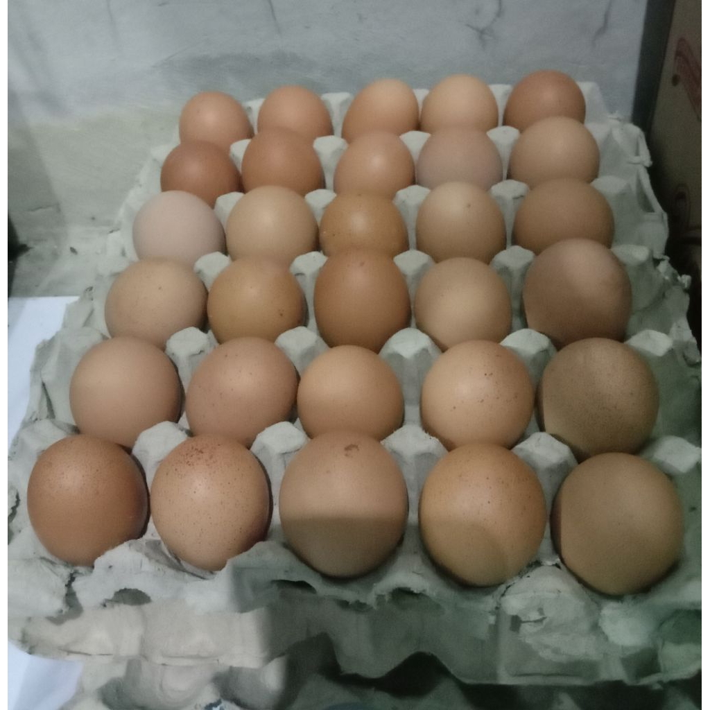 TELUR AYAM NEGRI 1KG