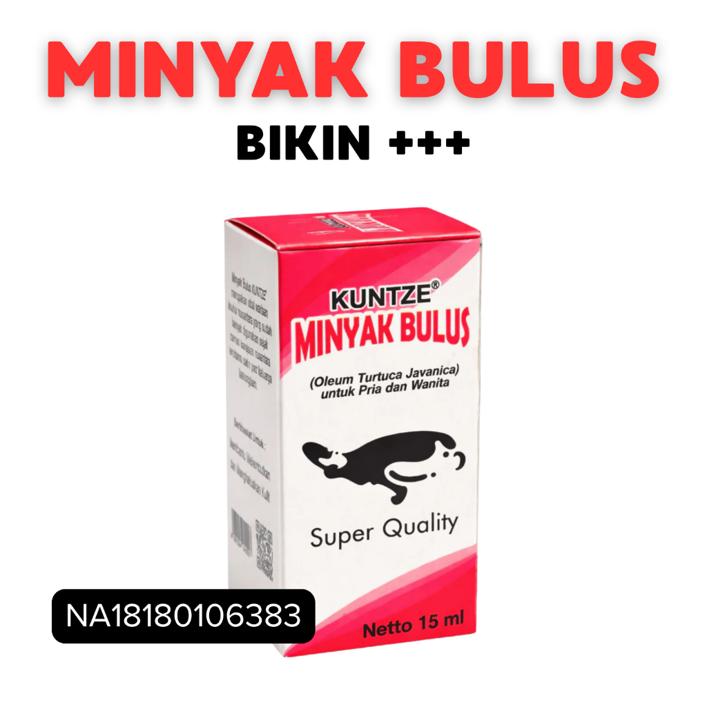 Minyak Bulus - Original Asli Minyak Dari Bulus - Kuntze