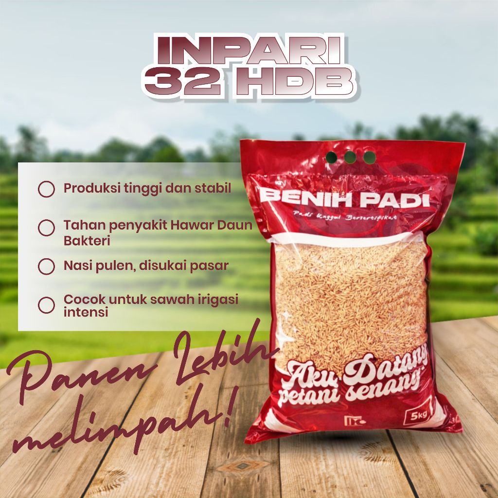 Benih padi Unggul  Inpari 32 Bersertifikat dan label - kemasan 5kg