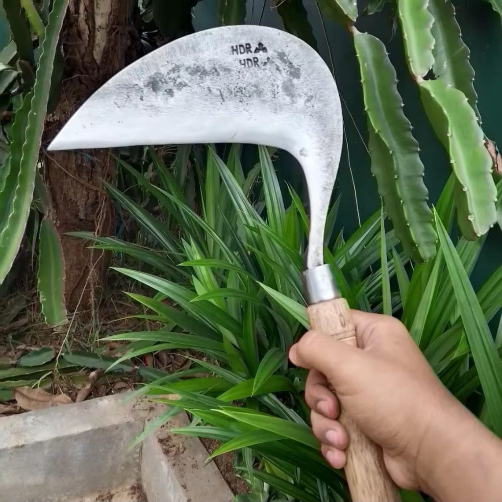 Sabit/Arit Rumput Model Cikajang Super Tajam Full Baja Pilihan Berkwalitas Anti Meleot