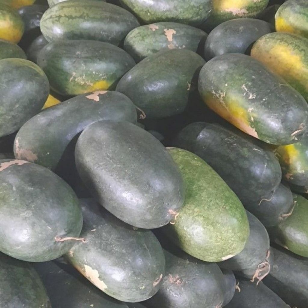[PREMIUM] Buah Semangka Inul Semangka Lonjong 3Kg Manis Segar Alami