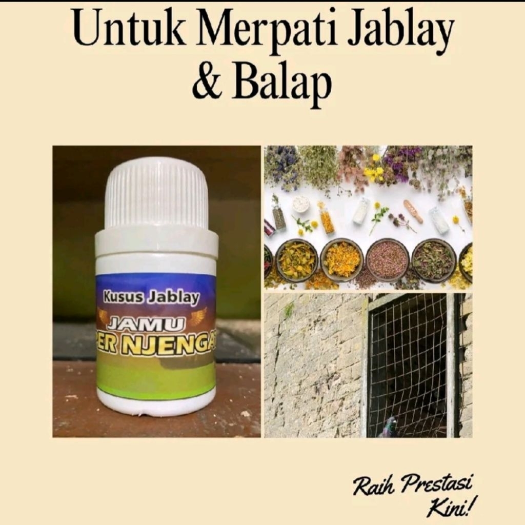 Jamu Kusus Merpati Jablay & Balap