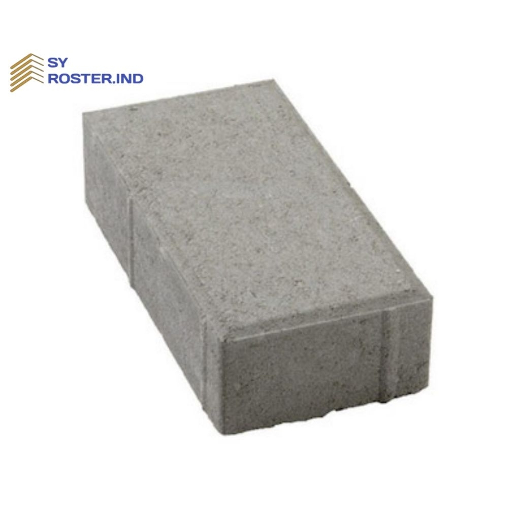 PAVING BLOCK MODEL BATA