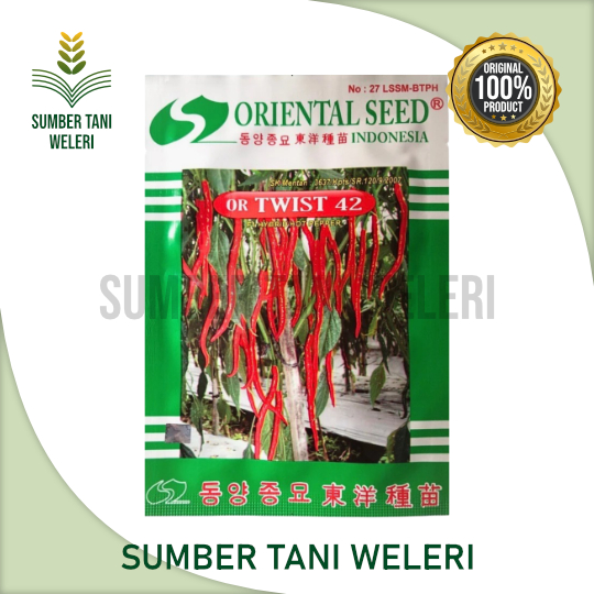 BENIH CABAI KERITING OR TWIST 42 - BENIH CABAI KERITING - 10 GR - ORIENTAL SEED INDONESIA