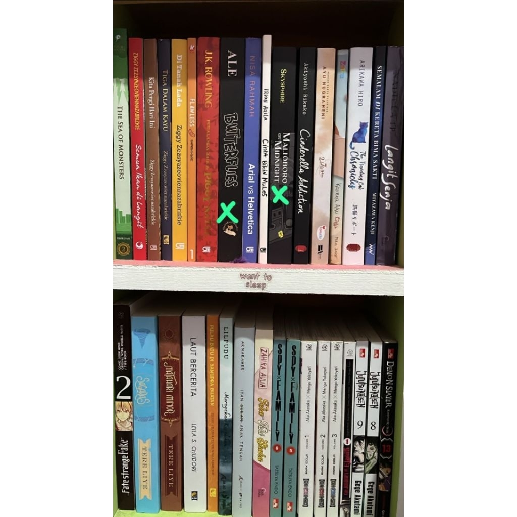buku cinderella addiction