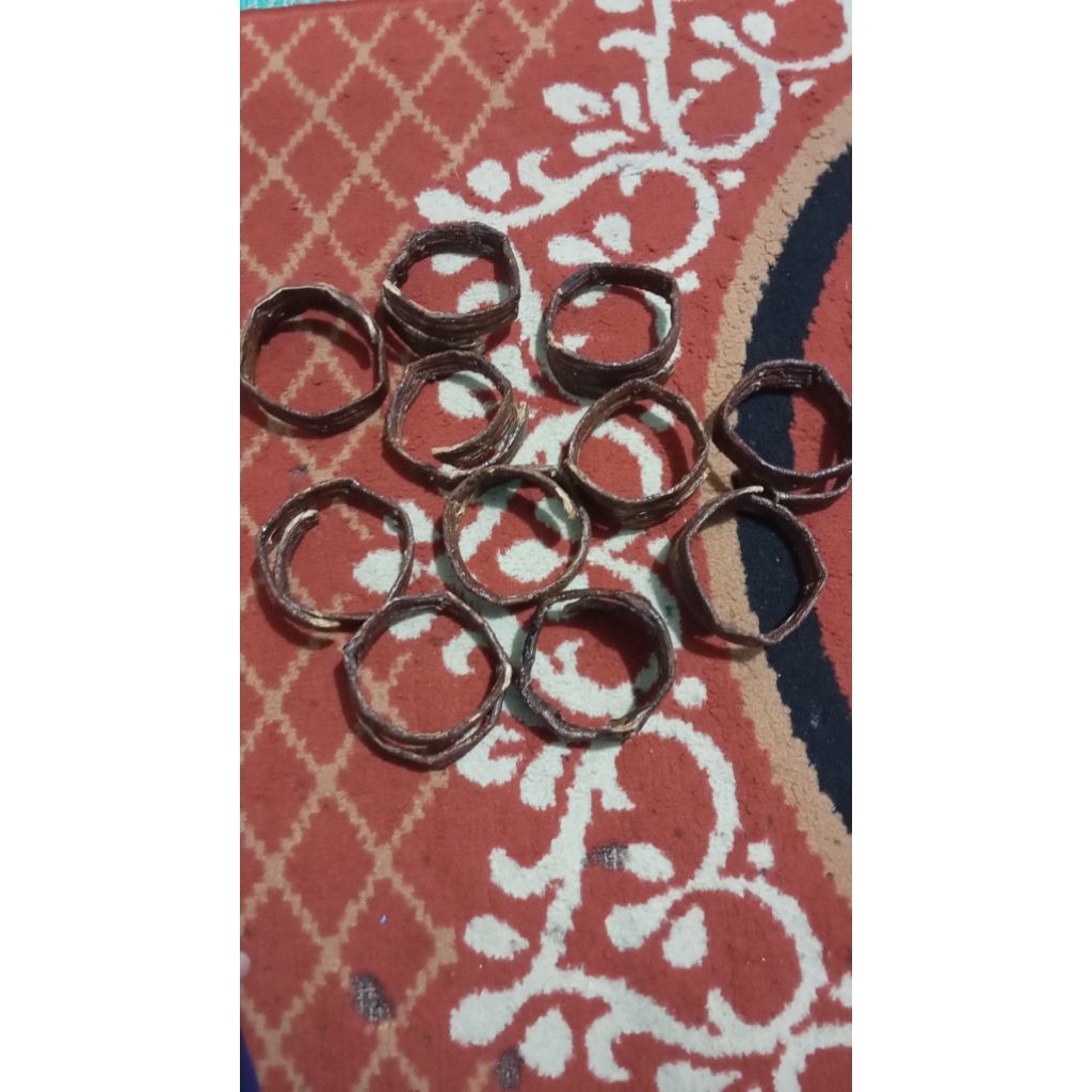 gelang akar hanoman