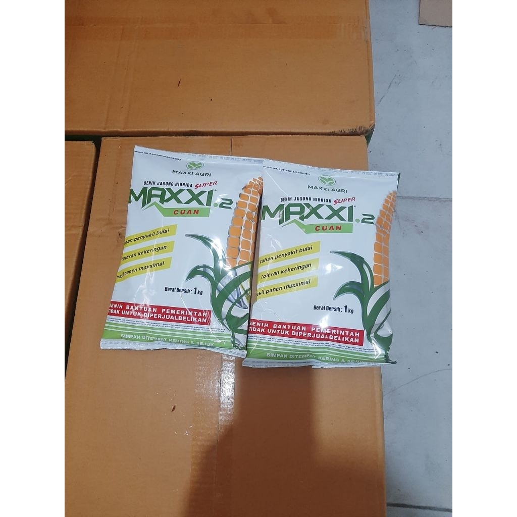 Bibit jagung hibrida maxxi 2