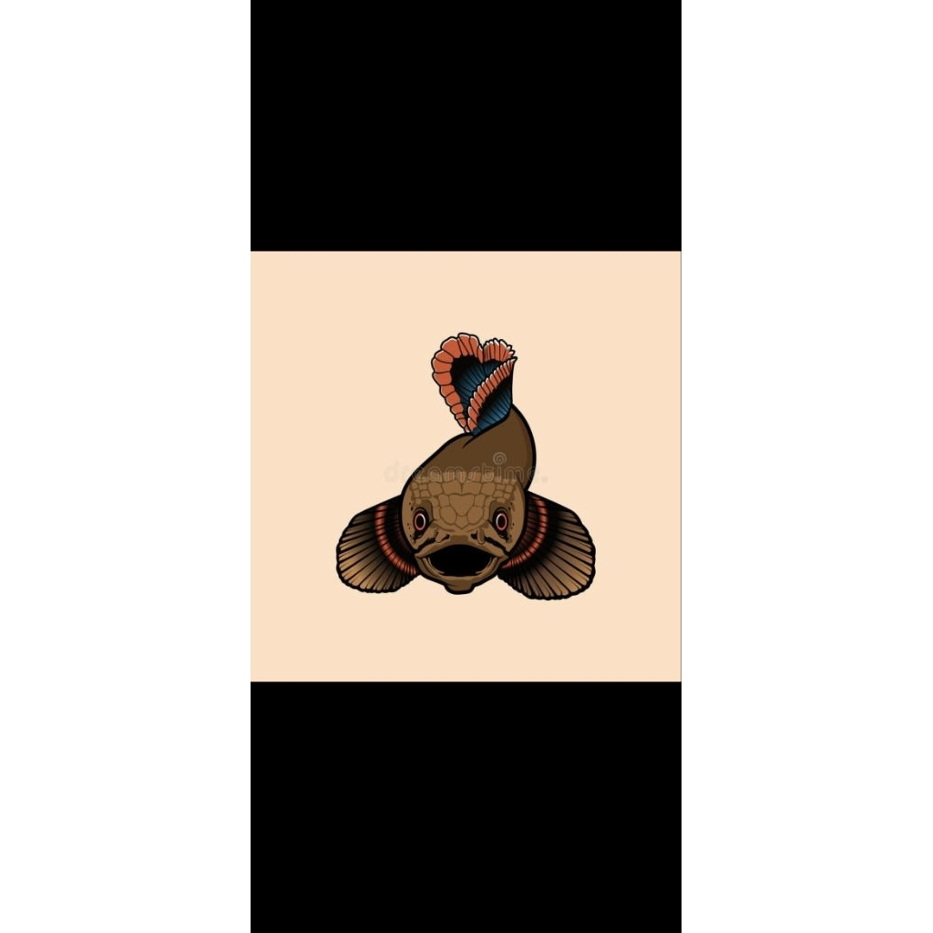 Limbata cb bloddy