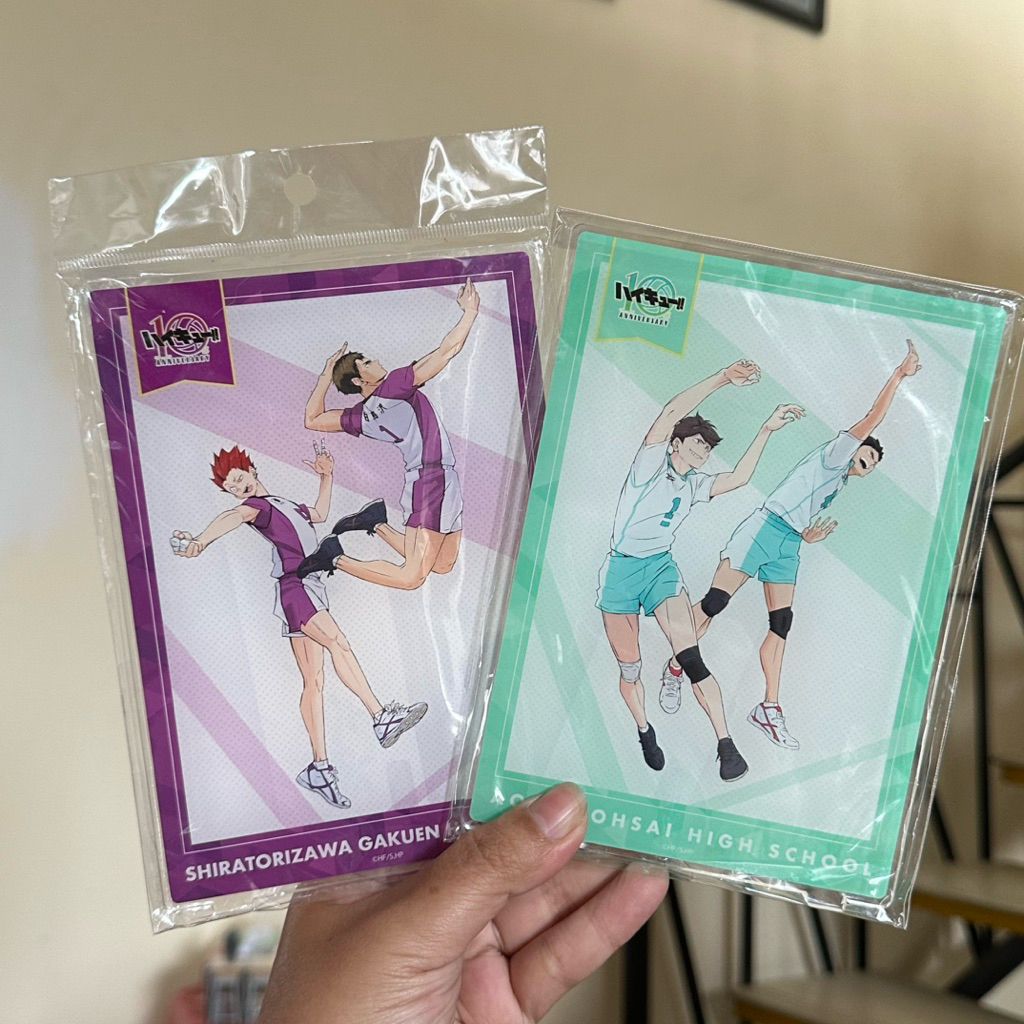 Haikyuu 10th Anniversary Acrylic Plate Standee