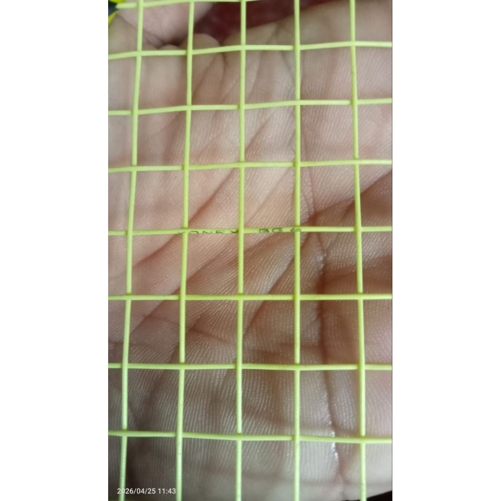 Raket badminton Yonex arcsaber light 10i.  senar YONEX BG 6
