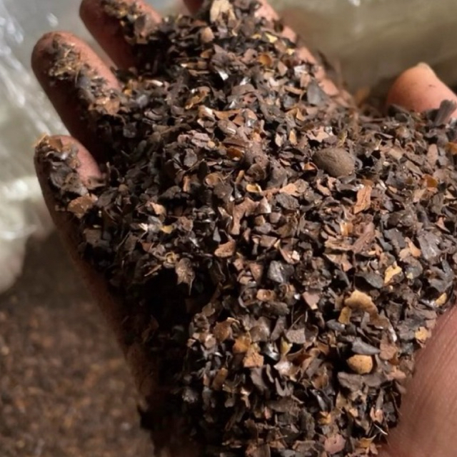 Kulit Kopi Oven Asli Dampit - harga 1kg
