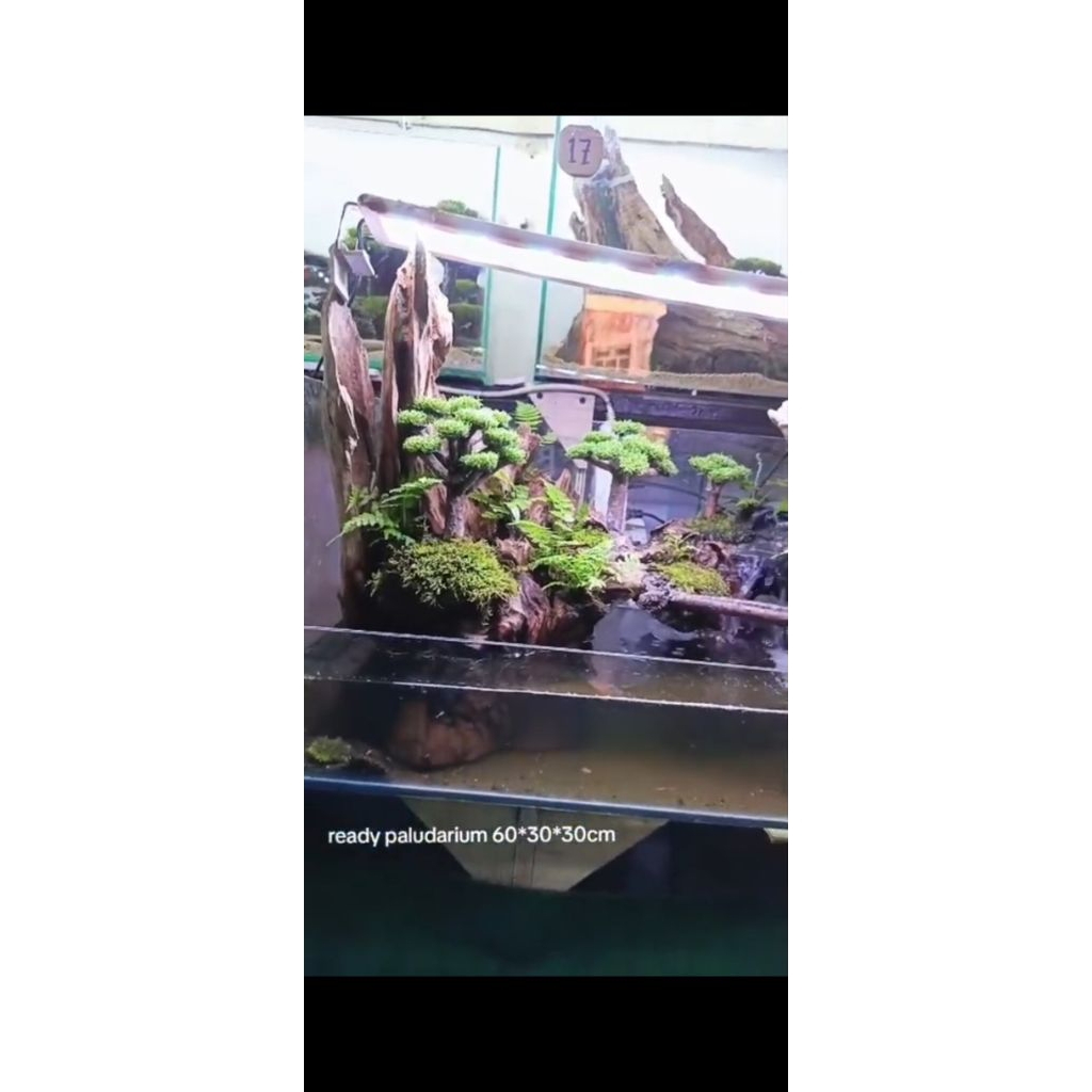 paludarium fullset size 150*30*40cm