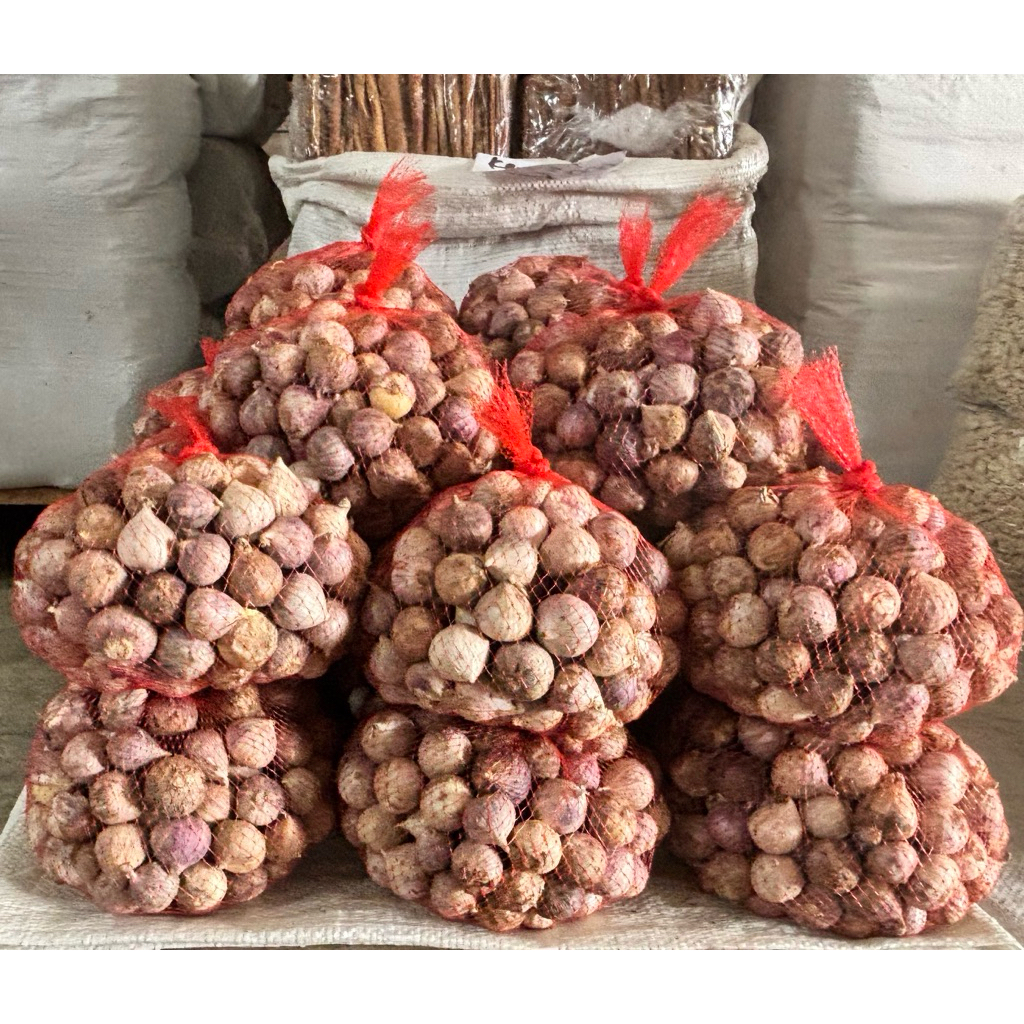BAWANG LANANG / BAWANG TUNGGAL 1kg
