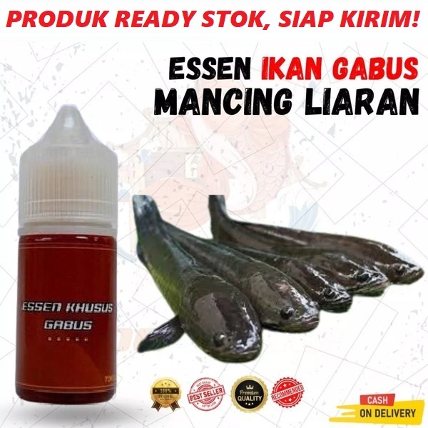 ESSEN IKAN GABUS MANCING LIARAN PALING GACOR COCOK UNTUK UMPAN KATAK, CACING & IKAN KECIL