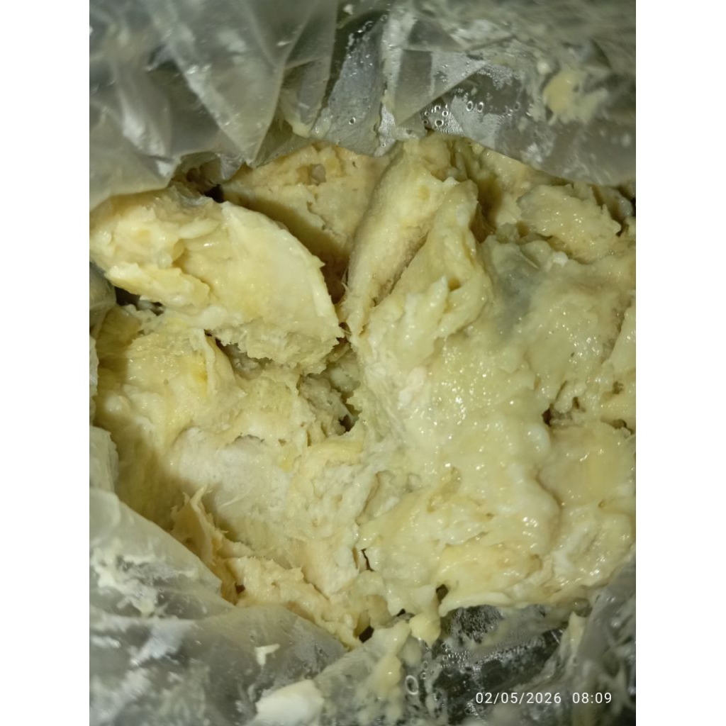 Tempoyak BARU/tempoyak durian/fermentasi durian asli Lahat/tempoyak BARU bukan LAMA
