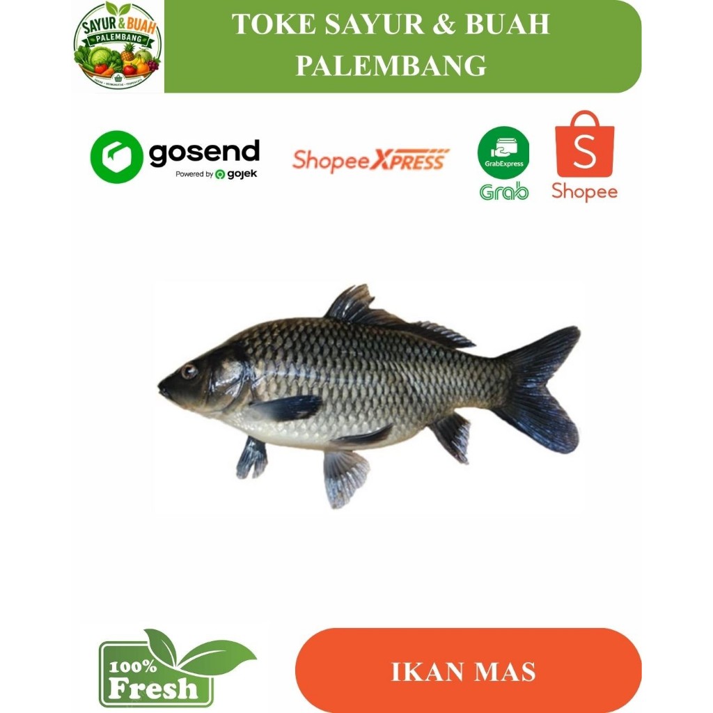 Ikan Mas Segar