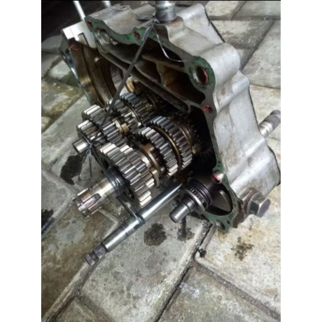 rasio tiger 6 speed, transmisi tiger 6 speed