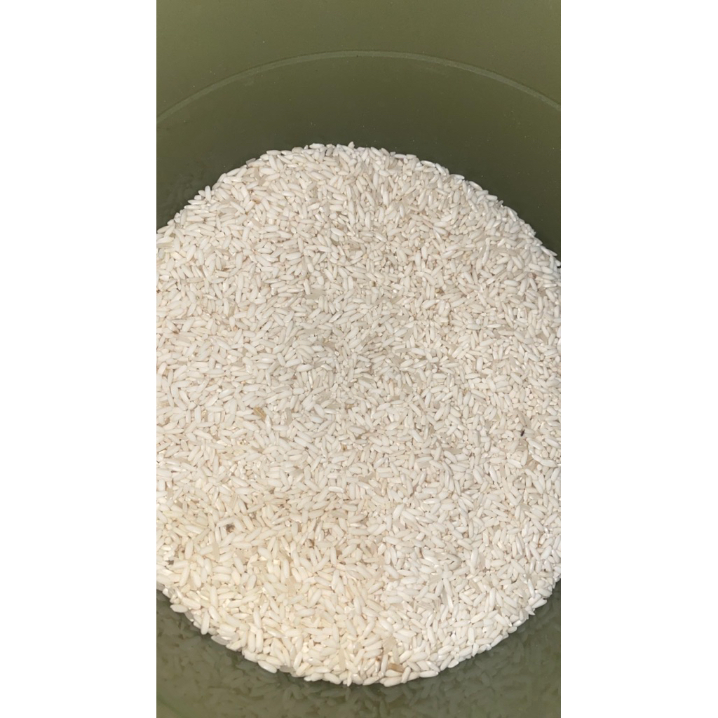 Beras Ketan Putih Premium Pulen & wangi siap masak berkualitas tinggi tanpa campuran