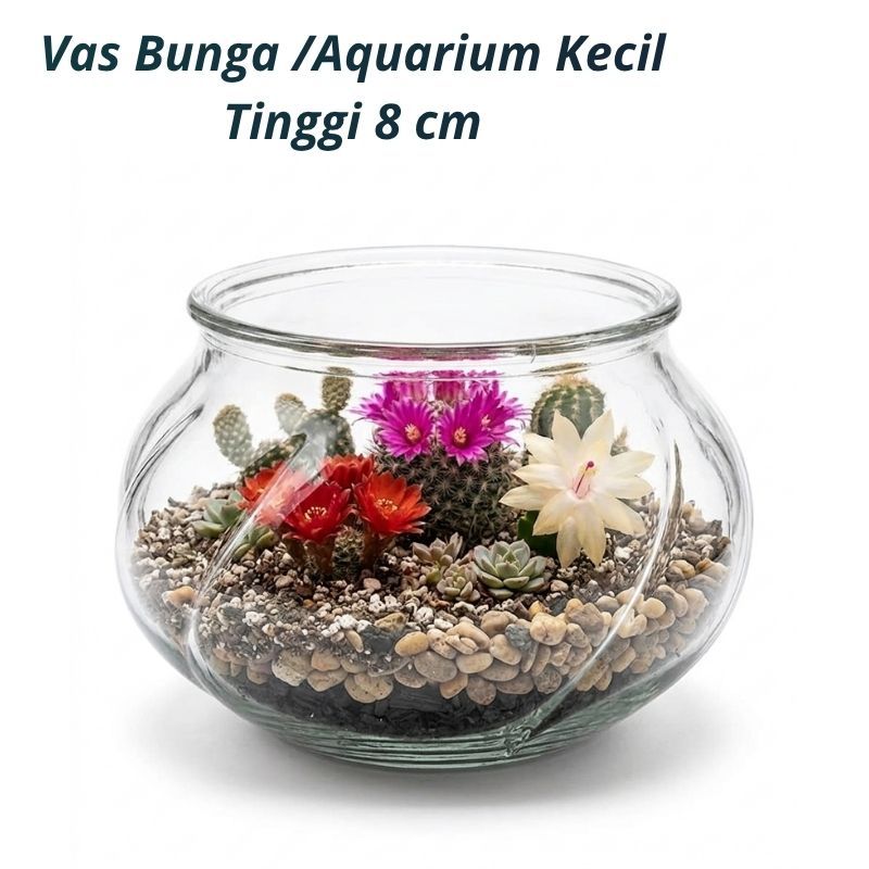 Vas Kaktus Vas Bunga Bulat Aquarium Kecil Wadah Bunga Kering Bulat Kaca bening