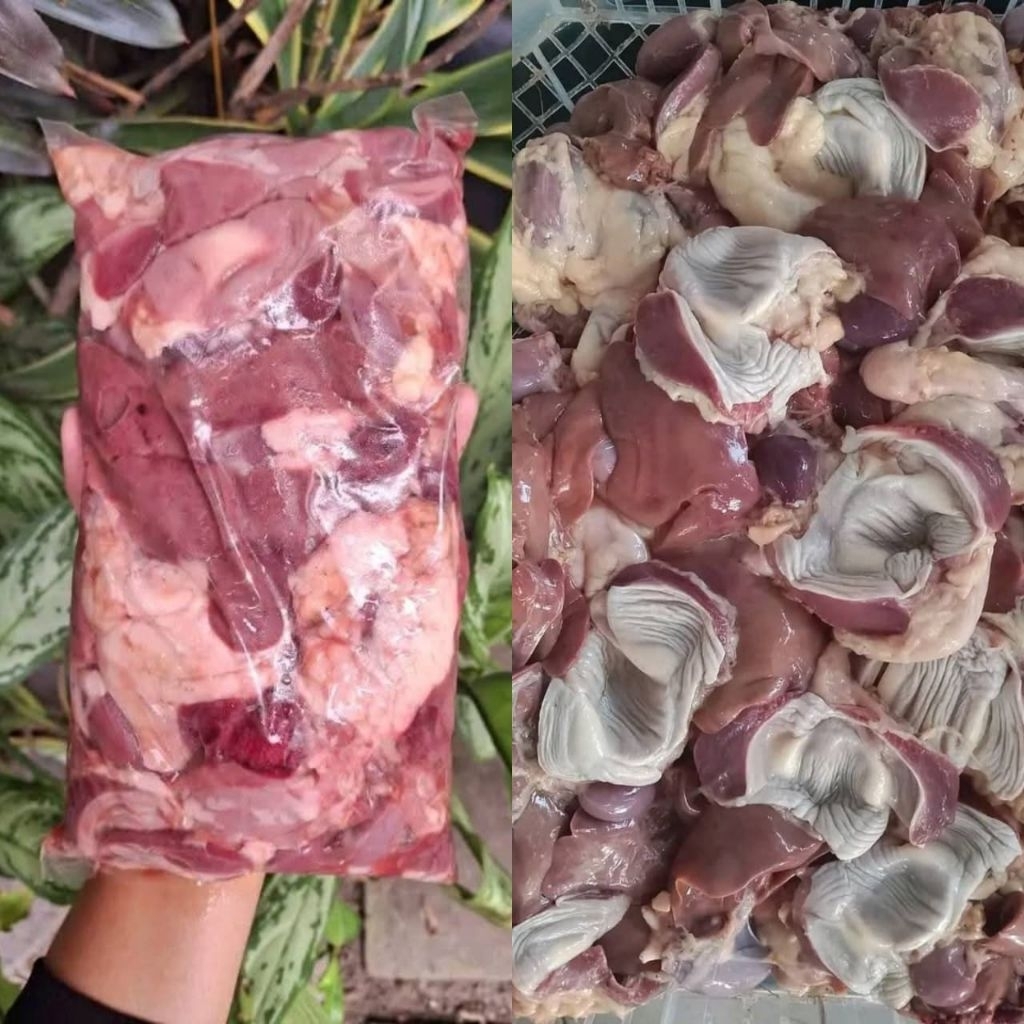 HATI AMPELA AYAM FROZEN