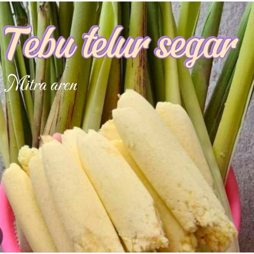 TERUBUS TEBU TELUR SAYURAN SEGAR SAYURAN TEBU TELUR 500gm
