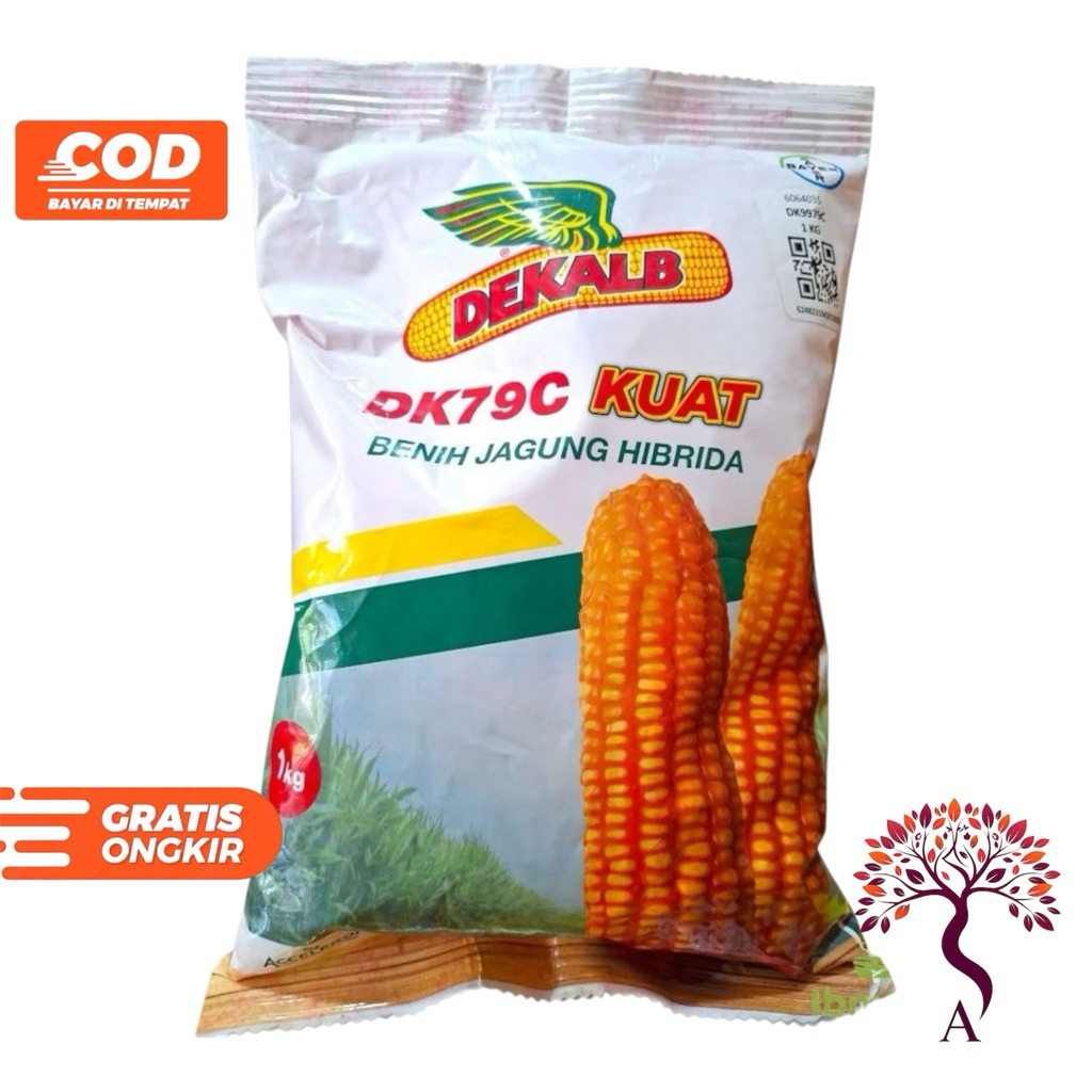 Benih Jagung DK79C Kuat Bayer 1KG - Bibit Jagung Tahan Bulai DK kuat dari Bayer