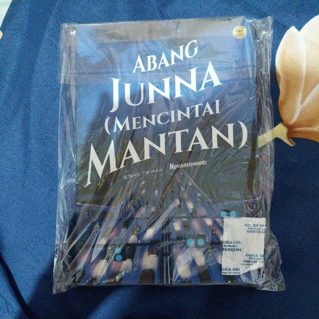 WTS PRELOVED NOVEL ABANG JUNNA MENCINTAI MANTAN