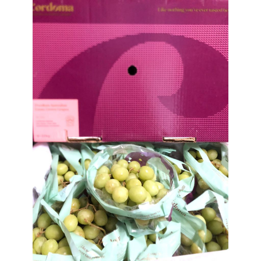 Anggur Autumn Crips Australia Cordoma Jumbo/kg