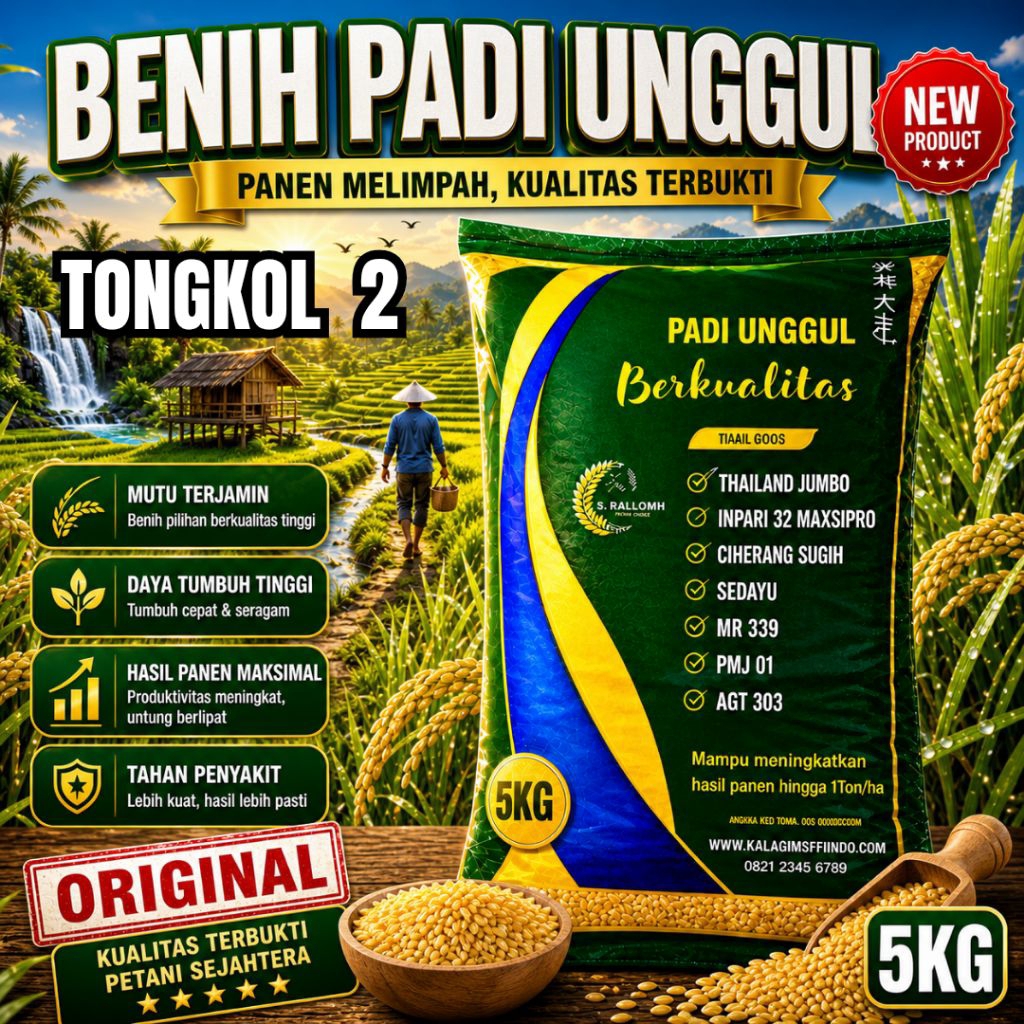 BENIH PADI TERBARU TONGKOL 2 KEMASAN 5 kg SUPER GENJAH ORIGINAL