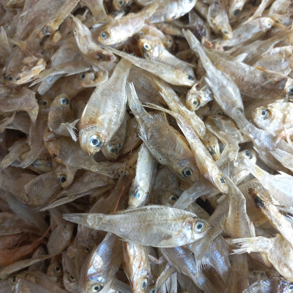 IKAN ASIN PENGKAH/ WADER LAUT 1kg, 500 grm