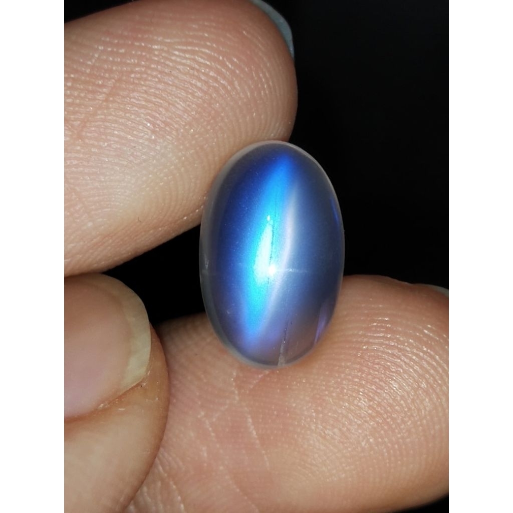Natural Rainbow Moonstone Cat Eye Memo 14 x 9 x 4.8 mm 4.55 Ct Langka Super Biduri Laut Srilanka NTD