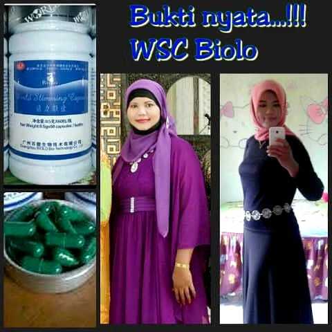 BIOLO ORIGINAL ETALASE BARU ( ULASAN TOKO PULUHRIBUAN) YANG ETALASE LAMA SUDAH TERHAPUS, AMANAH DAN 