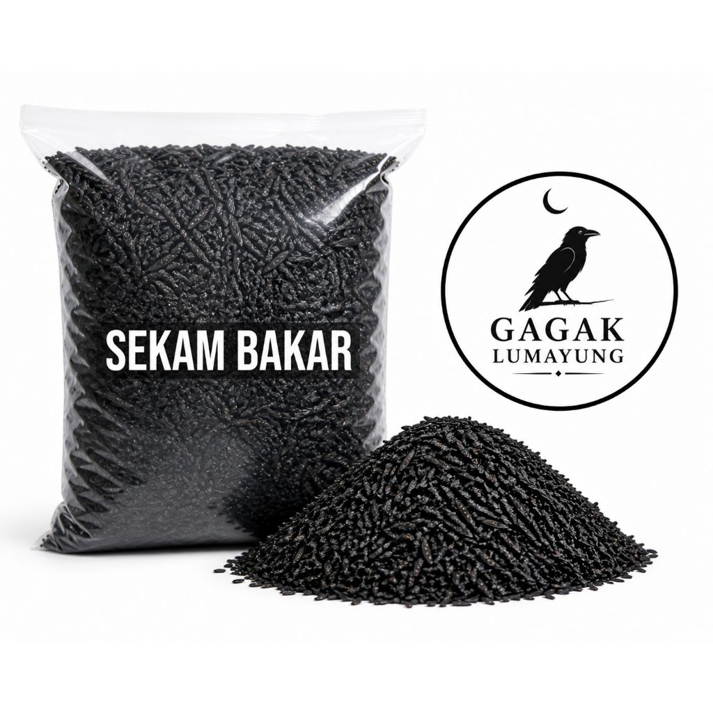 ARANG SEKAM ARANG SEKAM PADI ARANG SEKAM BAKAR ARANG SEKAM ORGANIK ARANG SEKAM MEDIA TANAM ARANG SEK