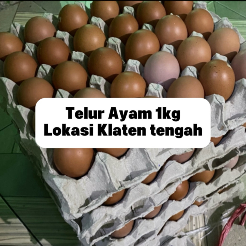 Telur ayam negeri isi 1kg - Mlinjon Klaten Jawa Tengah
