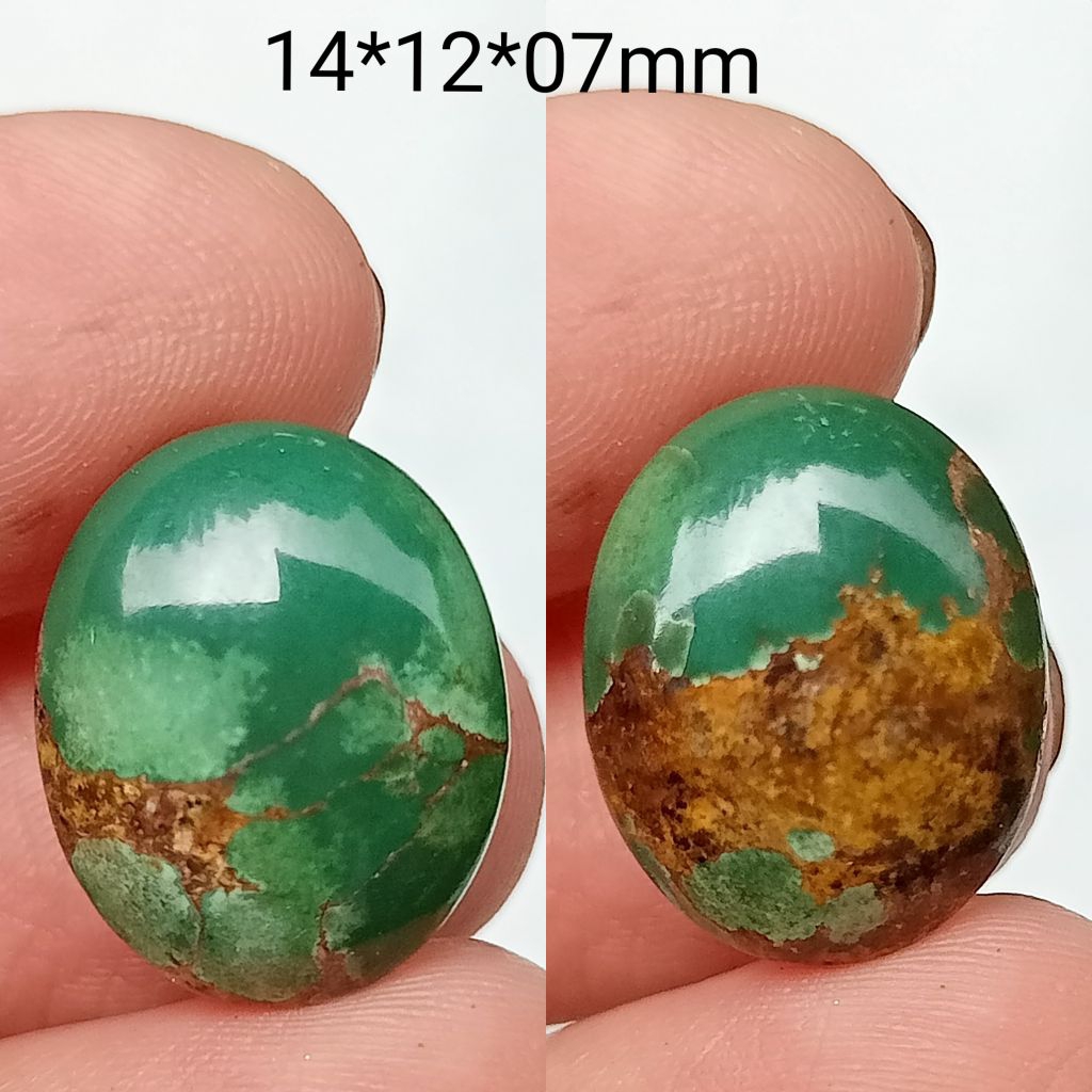 pirus Persia hijau kedondong semi mumbul A(19)