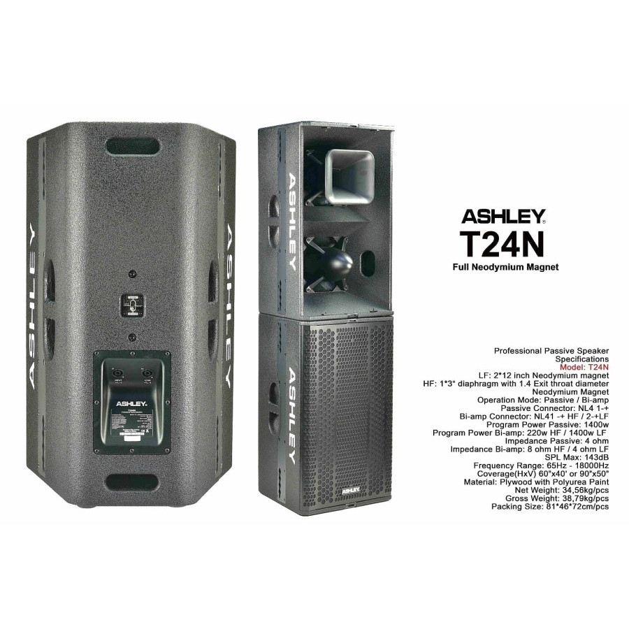 Speaker Pasif Ashley T24N T 24N T 24 N 2x12 Neodymium Magnet Original