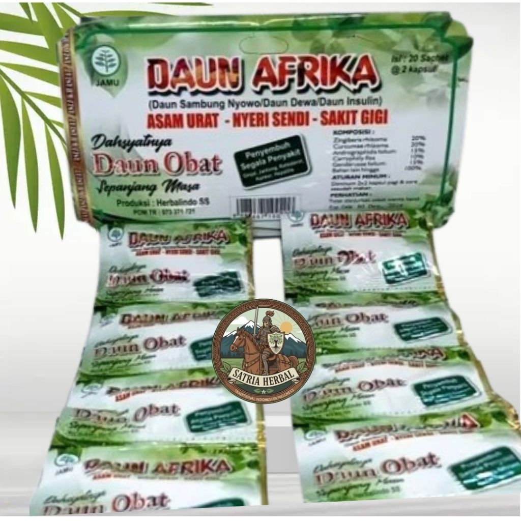 Daun Afrika Kapsul 100% ORIGINAL