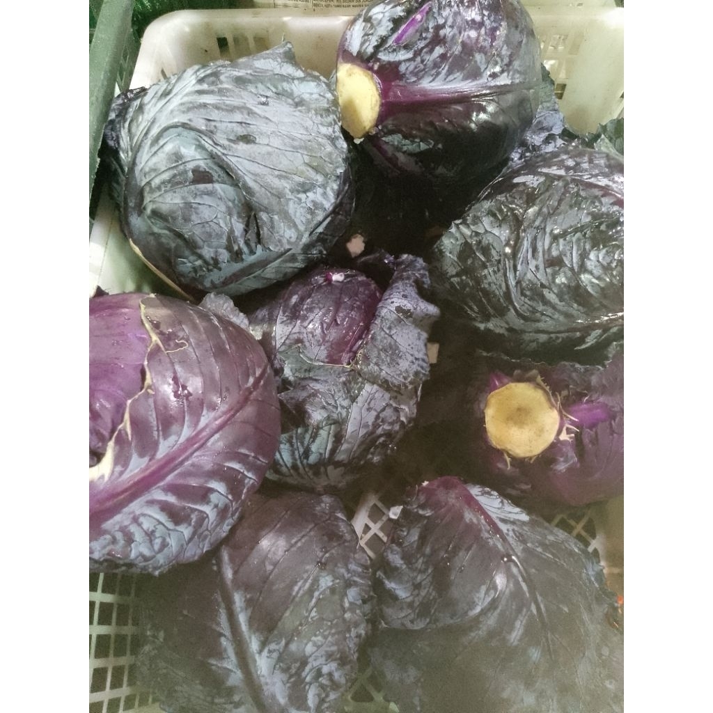 Kol ungu 1kg