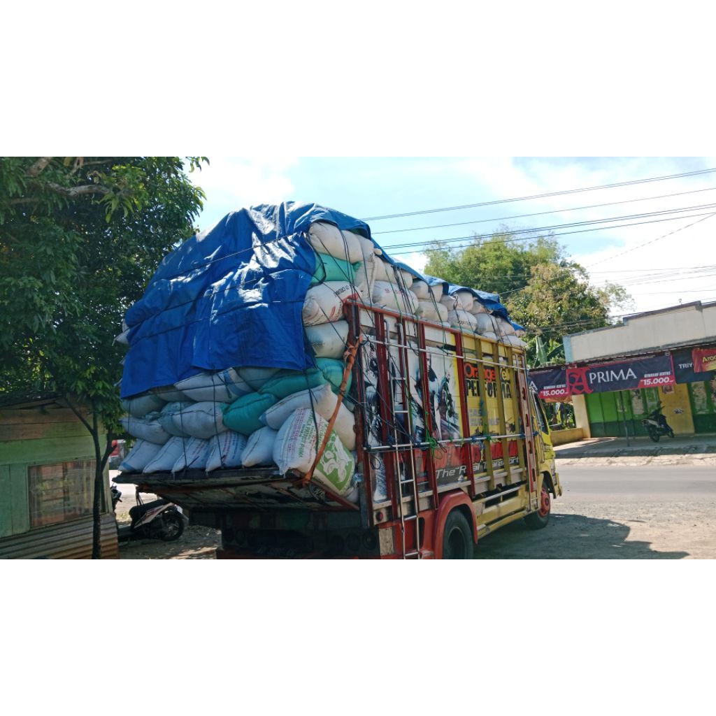 sekam padi/merang