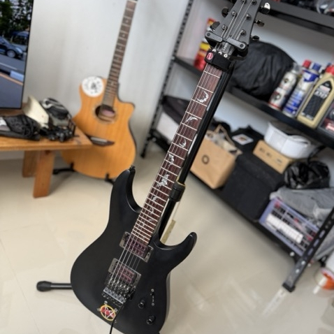 Guitar Electric Schecter Damien-6 FR Satin Black