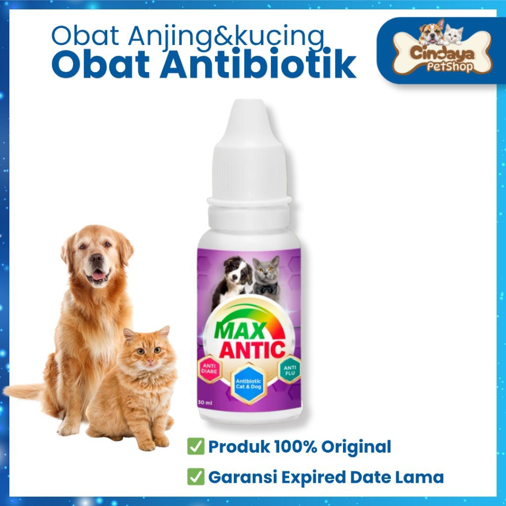 max antic | obat antibiotik untuk kucing dan anjing diare flu