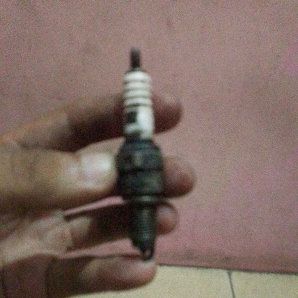 Nipel Tempat Minum Ayam Stainless Anti Bocor, Awet, Praktis