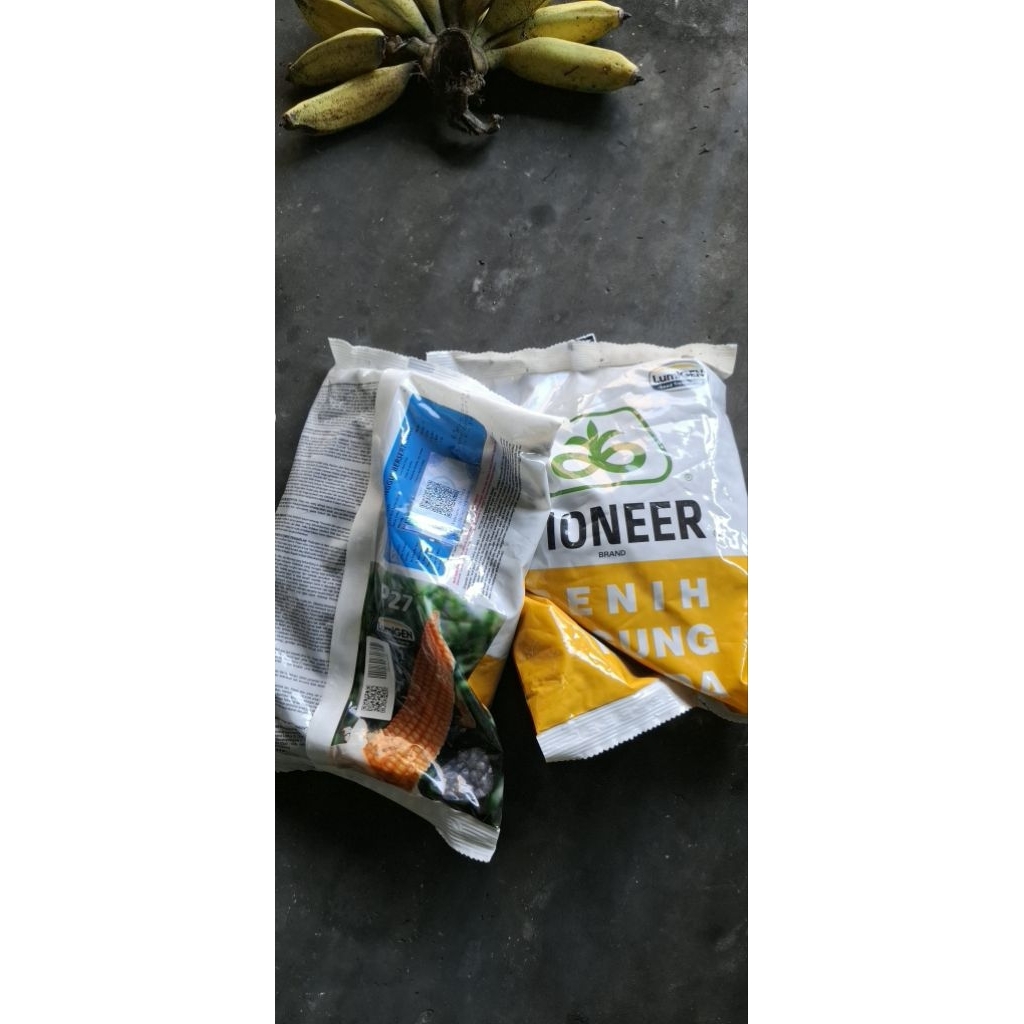 benih jagung pioneer p27 lumigen