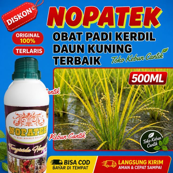 Obat Padi Bulai Daun Kuning NOPATEK | Padi Cepat Hijau Subur & Tidak Kerdil