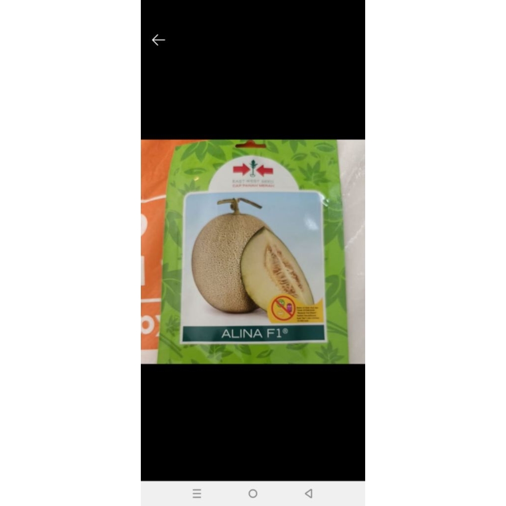 Benih/Bibit Melon Alina F1 40 butir